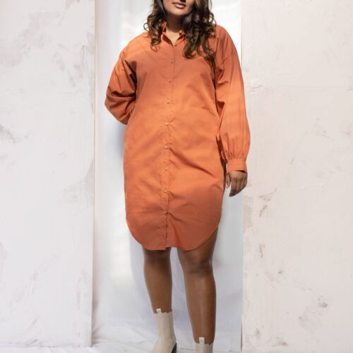 Paradox Dress | Burnt Sienna
